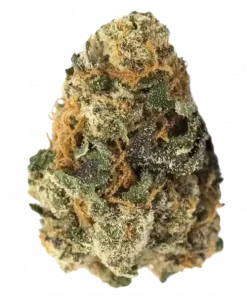 Cookies Kush, sert aroması ve dengeli etkileriyle bilinen Indica dominant bir türdür. OG Kush genetiği ile yaratıcılığınızı keşfedin. Hemen görüntüleyin.