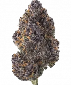 Corked, yakıtımsı ve narenciye aromalarıyla öne çıkan dengeli bir hibrit türdür. Enerjik etkileriyle bilinir. Bu eşsiz türün genetik yapısını keşfedin.