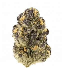 Cornbread, sert dizel aroması ve rahatlatıcı etkisiyle bilinen Indica dominant bir türdür. Bubba Kush genetiğiyle öne çıkar. Etkilerini keşfedin.