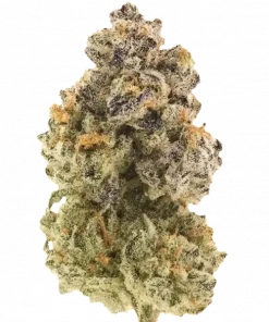 Crazy for Candy, tatlı ve meyveli aromalarıyla öne çıkan Sativa baskın bir türdür. Enerji verici etkileriyle gününüzü aydınlatın. Genetik yapısını keşfedin.