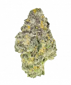 Cream, kahve ve vanilya aromalarıyla öne çıkan Indica baskın bir türdür. Yüksek THC içeriğiyle dikkat çeken bu türün genetik yapısını keşfedin ve etkilerini görüntüleyin.