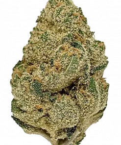 Cream Caramel, bal ve fındık aromalarıyla öne çıkan Indica baskın bir türdür. Yüksek THC içeriğiyle rahatlatıcı etkilerini keşfedin ve genetik yapısını inceleyin.