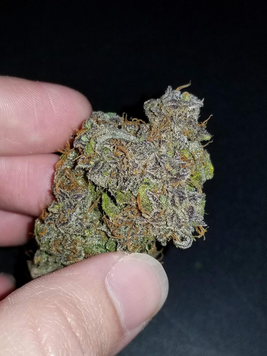 Cream Cookies Auto Fem Esrar Tohumu (Fast Buds)