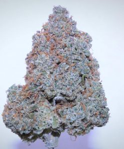 Cream Cookies Auto Fem Esrar Tohumu (Fast Buds)