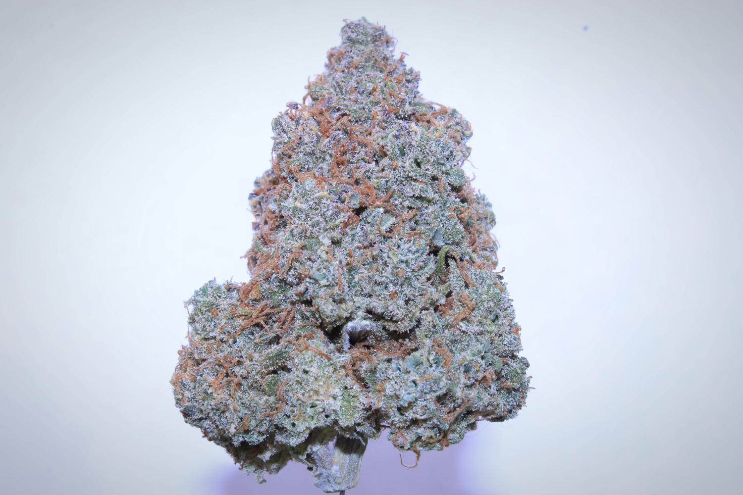 Cream Cookies Auto Fem Esrar Tohumu (Fast Buds)