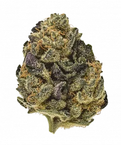 Cream Mandarine Auto, tatlı turunçgil ve yakıtımsı aromalarıyla öne çıkan Indica baskın bir türdür. Yaratıcılığı teşvik eden etkilerini keşfedin ve hemen görüntüleyin.