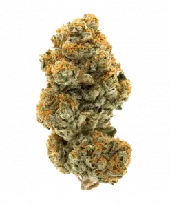 Cream Soda, vanilya ve orman meyveleri aromalı, yüksek THC'li Indica dominant bir türdür. Rahatlatıcı etkileriyle öne çıkar. Genetik yapısını keşfedin ve deneyimleyin.