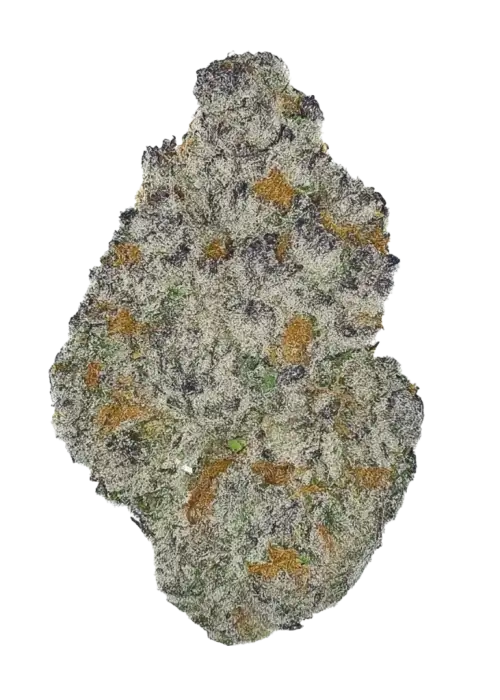 Creamiez, tatlı nane ve meyve aromalarıyla öne çıkan indica ağırlıklı bir türdür. Stresi azaltan ve rahatlama sağlayan genetik yapısını keşfedin.