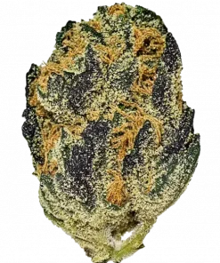 Creamsicle, narenciye ve vanilya aromalarıyla öne çıkan dengeli bir hibrit türdür. Rahatlatıcı ve uyku getirici etkileriyle bilinir. Özelliklerini keşfedin.