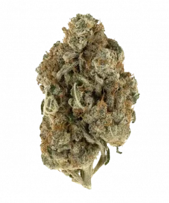 Creamy Beast Turbo, tatlı vanilya aroması ve hızlı çiçeklenme özelliğiyle bilinen Indica dominant bir türdür. Rahatlatıcı etkilerini keşfetmek için hemen görüntüleyin.