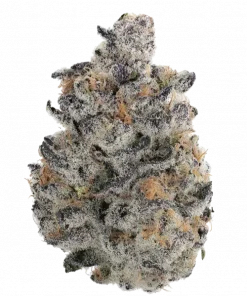 Creature Panic, benzin kokusu ve tatlı aromalarıyla öne çıkan Indica baskın bir türdür. Derin rahatlama ve uyku için ideal. Genetik yapısını keşfedin.