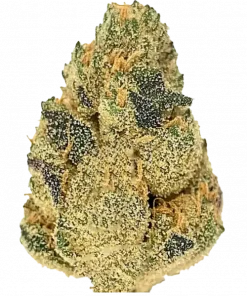 Creme Brulee, vanilya aroması ve yüksek THC içeriğiyle öne çıkan Indica dominant bir türdür. Yoğun rahatlama ve iştah artışı için genetik yapısını keşfedin.