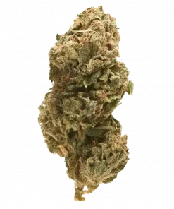 Crepes, vanilya aroması ve yüksek THC içeriğiyle öne çıkan Indica baskın bir türdür. Depresyon ve uykusuzluğa iyi gelir. Genetik yapısını ve etkilerini keşfedin.