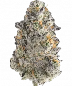 Crispy Sugar, çiçeksi aroması ve dengeli genetiğiyle öne çıkan bir hibrit türdür. Canlandırıcı etkileriyle gün boyu keyif için ideal. Özelliklerini keşfedin.