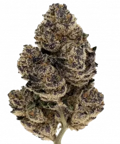 Crispz, yakıtımsı elma aroması ve yüksek THC içeriğiyle bilinen Indica dominant bir türdür. Derin rahatlama ve uyku için ideal. Genetik yapısını keşfedin.