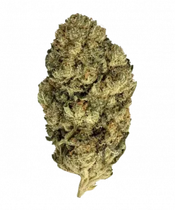 Critical Kush, baharatlı toprak aroması ve yüksek THC içeriğiyle öne çıkan Indica dominant bir türdür. Derin rahatlama ve potansiyel faydalarını keşfedin.