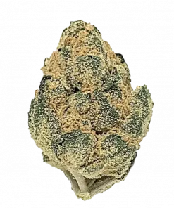 Critical Mass, tatlı aroması ve yüksek THC içeriğiyle bilinen Indica dominant bir türdür. Anksiyete ve kronik ağrı tedavisinde etkilidir. Özelliklerini keşfedin.