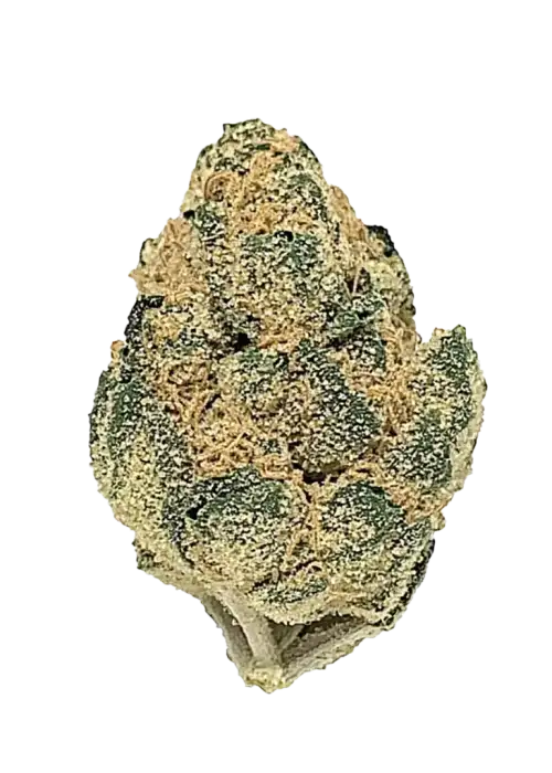 Critical Mass, tatlı aroması ve yüksek THC içeriğiyle bilinen Indica dominant bir türdür. Anksiyete ve kronik ağrı tedavisinde etkilidir. Özelliklerini keşfedin.