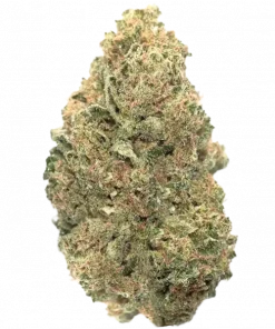 Critical Runtz, tatlı şeker aroması ve rahatlatıcı etkileriyle öne çıkan indica dominant bir türdür. Yüksek verimli genetik yapısını keşfedin ve detayları görüntüleyin.