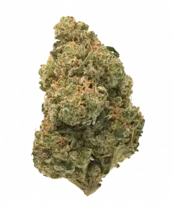 Cromo, yakıtımsı ve baharatlı aromalarıyla öne çıkan Indica baskın bir türdür. THC içeriğiyle rahatlatıcı etkilerini keşfedin ve genetik yapısını görüntüleyin.