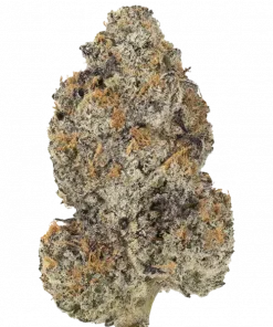 Cronuts, karamel aromalı, yüksek THC'li Indica baskın bir türdür. Yoğun rahatlama ve uyku için ideal. Bu eşsiz türü keşfedin ve etkilerini görüntüleyin.