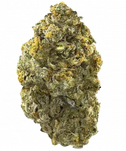 Crown Jewelz, tatlı kek aroması ve dengeli etkileriyle öne çıkan indica baskın bir türdür. Anksiyete ve ağrı için potansiyel faydalarını keşfedin.