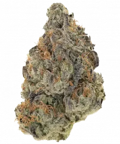 Crumb Dumpster, tatlı kurabiye ve yakıtımsı aromalarıyla öne çıkan Indica dominant bir türdür. Stresi azaltan etkilerini keşfedin ve hemen görüntüleyin.