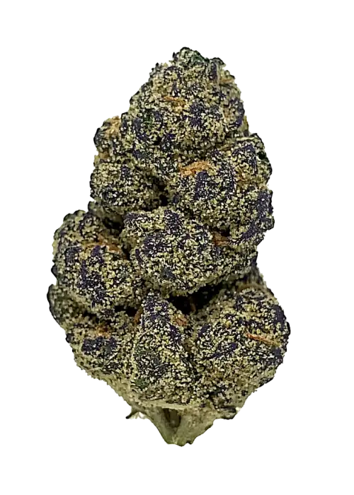 Crumpets, tatlı narenciye aroması ve 'e varan THC içeriğiyle öne çıkan Indica baskın bir türdür. Spazmlara karşı etkili bu türü keşfedin.