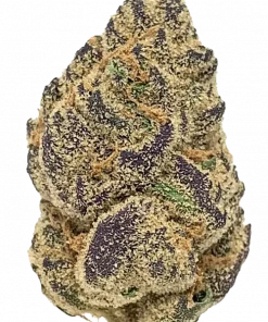 Crunch Berries, tatlı çilek aroması ve rahatlatıcı etkisiyle bilinen Indica dominant bir türdür. Yüksek verimli genetik yapısını keşfedin ve detaylıca görüntüleyin.