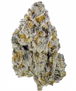 Crystal Candy F1 Fast Version, tatlı çilek aroması ve rahatlatıcı etkileriyle öne çıkan indica baskın bir türdür. Hızlı çiçeklenme özelliğiyle öne çıkar. Özelliklerini keşfedin.