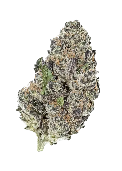 Kristal Şeker, tatlı çilek aromasıyla öne çıkan Indica baskın bir türdür. Orta seviyedeki THC içeriğiyle dengeli bir deneyim sunar. Özelliklerini keşfedin.