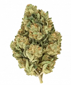 Crystal Coma, benzersiz peynir ve yakıtımsı aromasıyla öne çıkan Sativa baskın bir türdür. Yüksek THC içeriğiyle zihinsel uyarım sağlar. Genetik yapısını keşfedin.