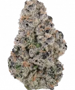 Crystal Cookies V2, tatlı kurabiye aroması ve güçlü rahatlatıcı etkisiyle bilinen Indica dominant bir türdür. Yüksek verimli genetik yapısını keşfedin ve detayları görüntüleyin.