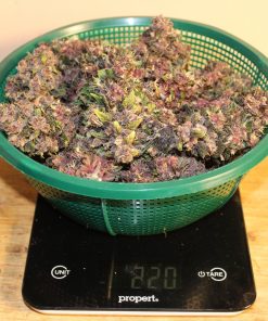 Crystal METH Auto Fem Esrar Tohumu (Fast Buds)