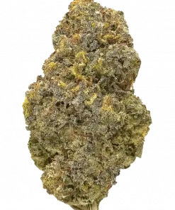 Curelato, tatlı aroması ve rahatlatıcı etkileriyle bilinen dengeli bir hibrit türdür. Yüksek verimli bu türün genetik yapısını keşfedin ve potansiyel faydalarını görüntüleyin.