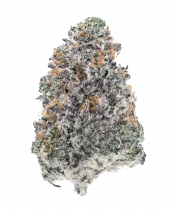 Curve Breaker, yakıtımsı ve tatlı aromasıyla öne çıkan bir indica türüdür. THC ile rahatlatıcı etkilere sahiptir. Bu eşsiz türü keşfedin.