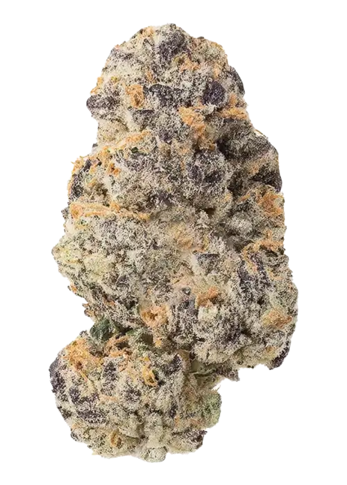 D-lish, tatlı meyve aromaları ve dengeli yapısıyla öne çıkan bir hibrit türdür. Anksiyete ve stres için ideal. Genetik özelliklerini keşfedin.