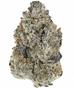 Mega Z Red, yakıtımsı ve meyvemsi aromaları ile öne çıkan bir Indica türüdür. Ağrı, stres ve uykusuzluğa iyi gelir. Etkilerini keşfedin.