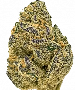 Daily Grape, üzüm aroması ve yüksek THC içeriğiyle bilinen Indica baskın bir türdür. Benzersiz genetik yapısını ve potansiyel faydalarını keşfedin.