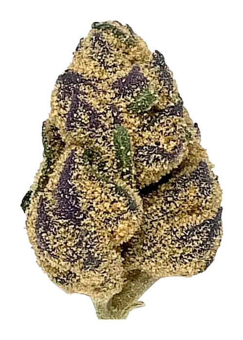 Dank Dough, yakıtımsı aroması ve THC içeriğiyle öne çıkan sativa baskın hibrit bir türdür. Canlandırıcı etkilerini keşfedin ve genetik yapısını görüntüleyin.