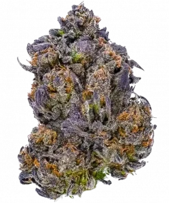 Dankberry, reçelsi böğürtlen aroması ve yüksek THC içeriğiyle bilinen indica baskın bir türdür. Bu eşsiz türün genetik yapısını ve potansiyel faydalarını keşfedin.