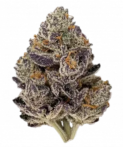 Dankberry Auto, THC ile öne çıkan Indica dominant türdür. Tatlı meyve aromaları ve rahatlatıcı etkileriyle keşfedin. Detaylı genetik yapısını görüntüleyin.