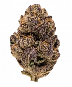 Dark Devil Auto™, tatlı meyve ve yakıtımsı aromalarıyla öne çıkan Sativa baskın bir türdür. Kısa sürede etki eden yapısıyla eşsiz deneyimi keşfedin.