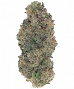 Dark Dosi, çiçeksi aroması ve yüksek THC içeriğiyle öne çıkan indica baskın bir türdür. Uykusuzluk ve ağrı için ideal. Genetik yapısını keşfedin.