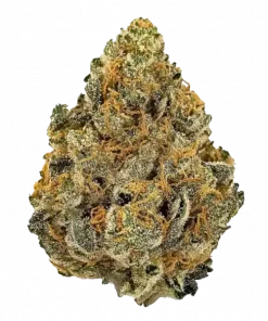 Dark Rainbow, kimyasal limon aroması ve rahatlatıcı etkisiyle bilinen Indica dominant bir türdür. Yüksek verimli genetik yapısını keşfedin ve detaylıca görüntüleyin.