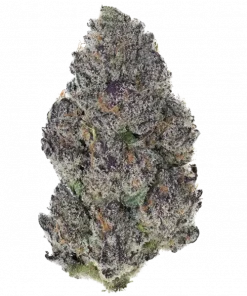 Dark Velvet, kremsi aroması ve rahatlatıcı etkisiyle bilinen indica dominant bir türdür. Yüksek verimiyle öne çıkar. Bu eşsiz türü keşfedin.