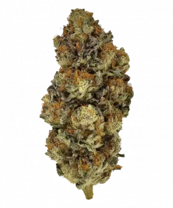 Dead Hot Strawberries, çilek aromaları ve yüksek THC içeriğiyle öne çıkan Indica baskın bir türdür. Ağrı ve spazmlara karşı potansiyel faydalarını keşfedin.