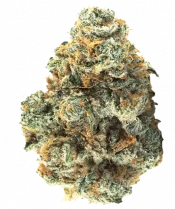 Dead Unicornz, tatlı tropikal aromaları ve güçlü etkisiyle öne çıkan bir hibrit türdür. Uzun süren rahatlama ve öfori için genetik yapısını keşfedin.