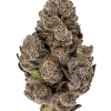 Death Bubba, sert yakıtımsı aroması ve yüksek THC içeriğiyle bilinen Indica dominant bir türdür. Derin rahatlama ve uyku için ideal. Özelliklerini keşfedin.