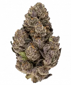 Death Bubba, sert yakıtımsı aroması ve yüksek THC içeriğiyle bilinen Indica dominant bir türdür. Derin rahatlama ve uyku için ideal. Özelliklerini keşfedin.